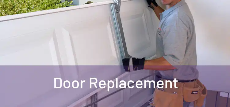  Door Replacement 